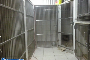 FormatFactoryCAM00749