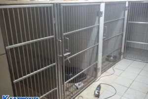 FormatFactoryCAM00754